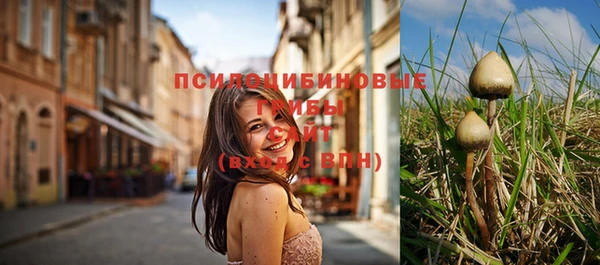 соль ск Балахна