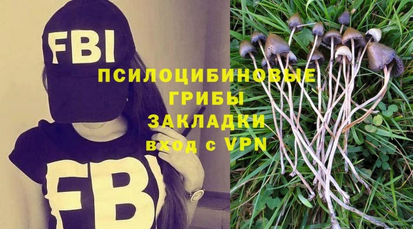 ПСИЛОЦИБИНОВЫЕ ГРИБЫ Балабаново