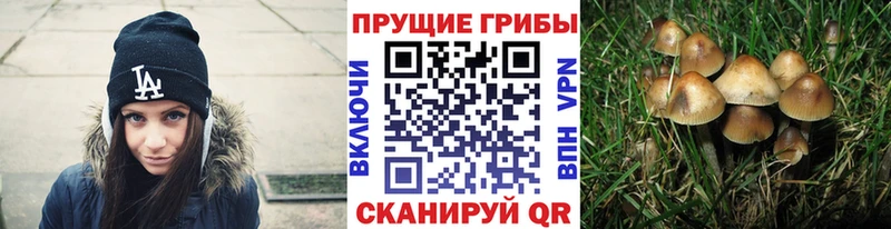 наркошоп  кракен сайт  Галлюциногенные грибы MAGIC MUSHROOMS  Зарайск 